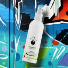 desodorisant chaussures 100ml